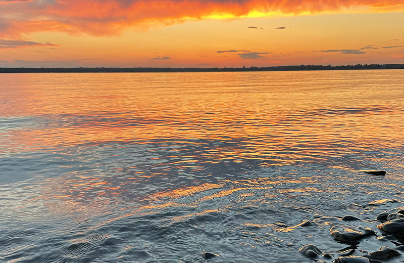 Image Credit: Hbbrown18 - Own work, CC BY-SA 4.0 Affordable Primary Care